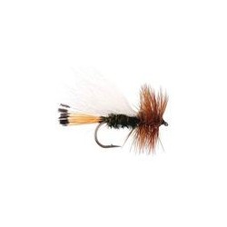 Peacock Caddis White