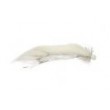 Snake Booby White & Silver