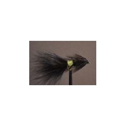 Tadpole  Black