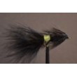 Tadpole  Black