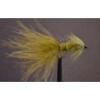 Tadpole  Olive
