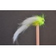 White Bunny Leech