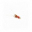 Frances red tungsten cone