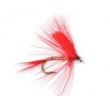 Red Ibis