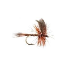 Red Quill