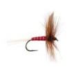 Red Spinner