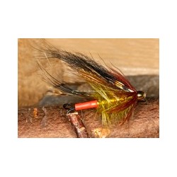 Shrimp