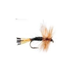 Rio Grande King
