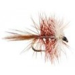Bivisible Brown