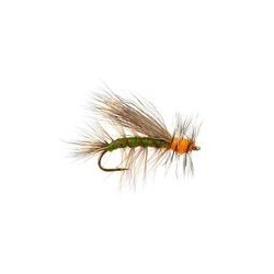 Stimulator Olive