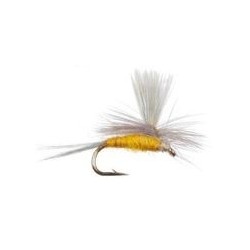 Sulphur Parachute