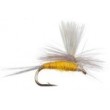 Sulphur Parachute