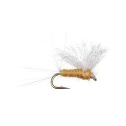 Sulphur Spinner