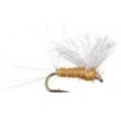 Sulphur Spinner