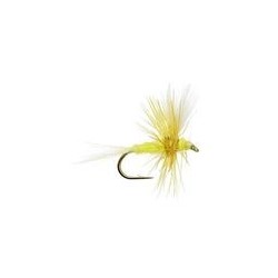 Sulphur Thorax