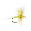 Sulphur Thorax