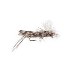 Tent Wing Hopper Parachute