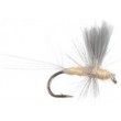 Thorax PMD