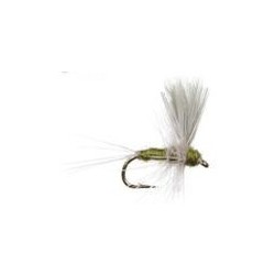 Thorax Slate Olive