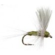 Thorax Slate Olive