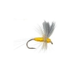 Thorax Sulphur