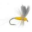 Thorax Sulphur