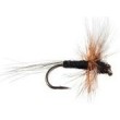 Thorax White Black