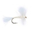 White Wulff