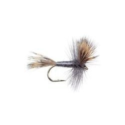 Wulff Gray Hair Wing