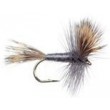 Wulff Gray Hair Wing