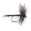 Black Quill