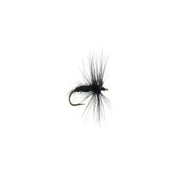 Black Spider