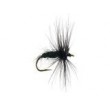 Black Spider