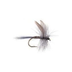 Blue Quill