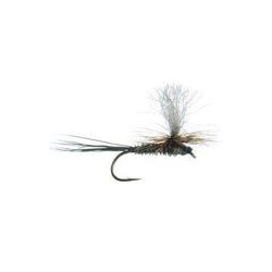 Borchers Parachute