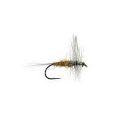 Brown Olive Dun