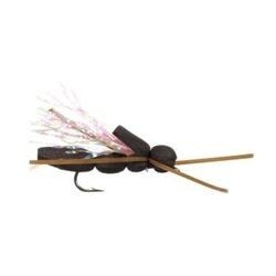 Cicada