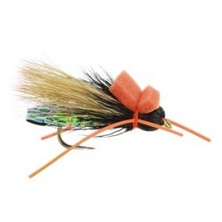 Criss Cross Cicada