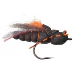 Project Cicada