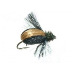 Steeves Japanese Beetle