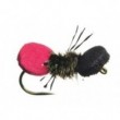 Steves Cow Killer Ant