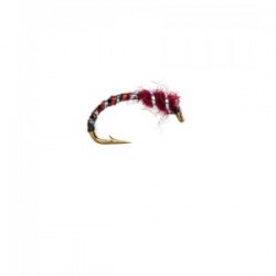 Anorexic buzzer claret