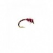 Anorexic buzzer claret