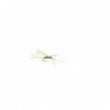 Apps Bloodworm Olive