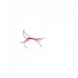 Apps Bloodworm Red