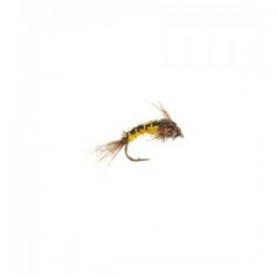 Baetis yellow nymph
