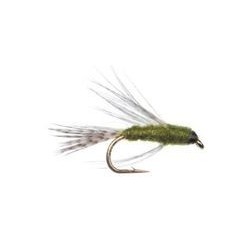 Birds Nest Olive