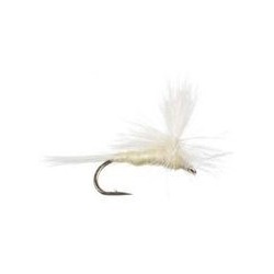 Cahill Light Parachute