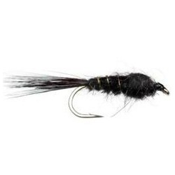Black Nymph Flash Back