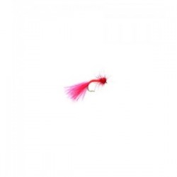 Bloodworm